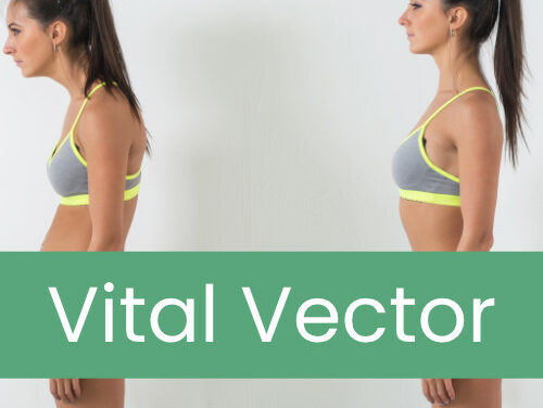 What Is The Vital Vector