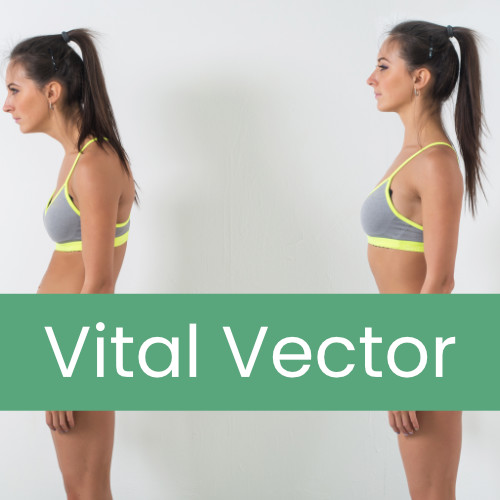 What Is The Vital Vector